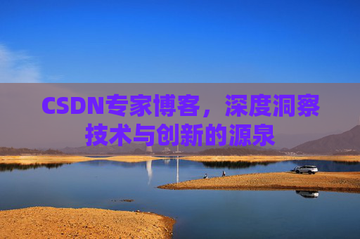 CSDN专家博客，深度洞察技术与创新的源泉